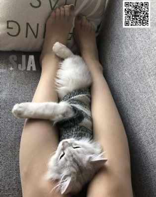 男女a级毛片_剧情片迅雷电影在线